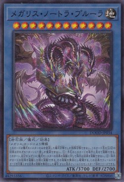 画像1: メガリス・ノートラ・プルーラ