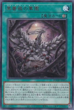 画像1: 黒薔薇の華園（ブラック・ローズ・ガーデン）