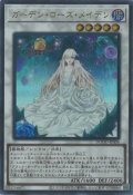 ガーデン・ローズ・メイデン