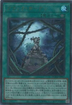 画像1: ブラック・ガーデン