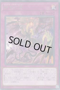 画像1: 捕食計画（プレデター・プランニング）