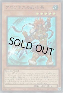 画像1: アマゾネスの戦士長