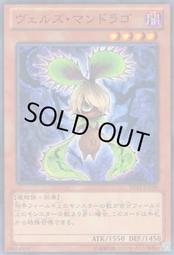 画像1: ヴェルズ・マンドラゴ