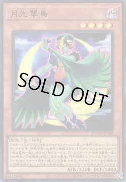 画像1: 月光翠鳥（ムーンライト・エメラルド・バード）