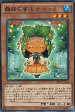 画像1: 森羅の蜜柑子 シトラ