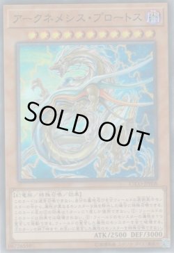 画像1: アークネメシス・プロートス