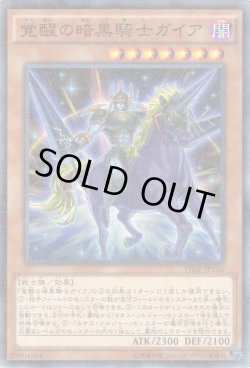 画像1: 覚醒の暗黒騎士ガイア