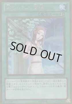 画像1: 禁じられた聖槍