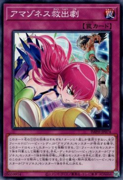 画像1: アマゾネス救出劇