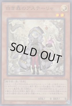 画像1: 白き森のアステーリャ