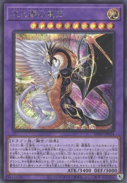 画像1: 光と闇の竜王（ライトエンドダークネス ドラゴンロード）