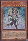 幻惑の見習い魔術師（ナイトメア アプレンティス）