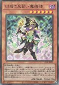 幻惑の見習い魔術師(ナイトメア アプレンティス)