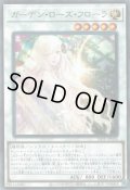 ガーデン・ローズ・フローラ