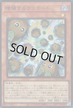画像1: 増殖するクリボー！