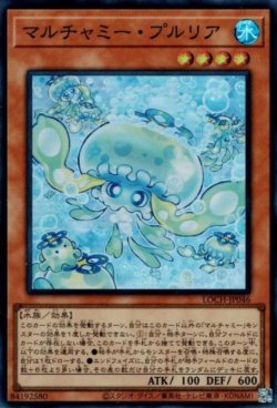 画像1: マルチャミー・プルリア