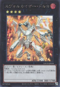 画像1: エヴォルカイザー・ドルカ