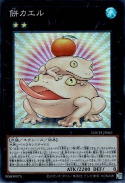 画像1: 餅カエル