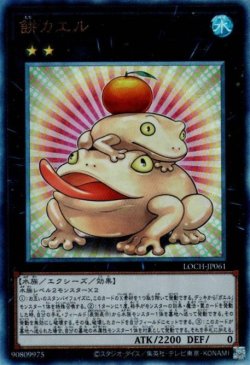 画像1: 餅カエル