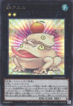 画像1: 餅カエル