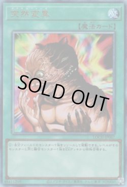 画像1: 突然変異（メタモルフォーゼ）