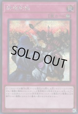 画像1: 群雄割拠