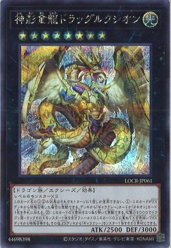 画像1: 神影金龍ドラッグルクシオン