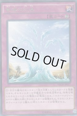 画像1: 竜魂の幻泉