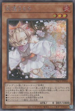 画像1: 灰流うらら（はる）