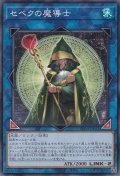 セベクの魔導士