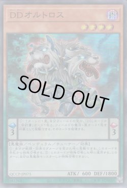 画像1: DDオルトロス（ディーディー）