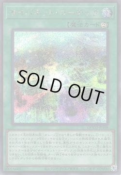 画像1: サイバネット・コーデック