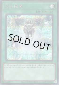 画像1: 光の援軍