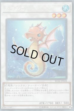 画像1: たつのこ