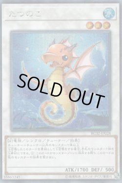 画像1: たつのこ