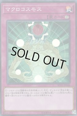 画像1: マクロコスモス