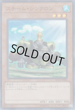 画像1: スチーム・シンクロン