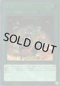 儀式の下準備