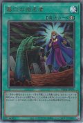 墓穴の指名者