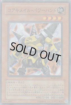 画像1: コアキメイル・パワーハンド