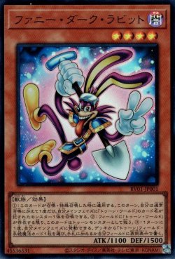 画像1: ファニー・ダーク・ラビット