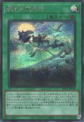 魔女の聖夜行（ウィッチクラフト ワルプルギース）
