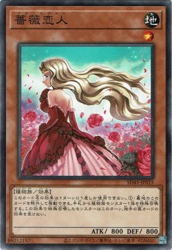 画像1: 薔薇恋人（バラ・ラヴァー）