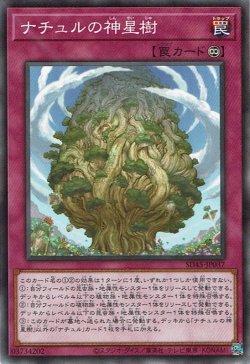 画像1: ナチュルの神星樹