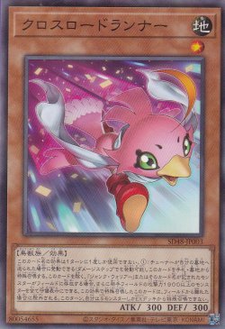 画像1: クロスロードランナー