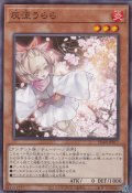 灰流うらら（はる）