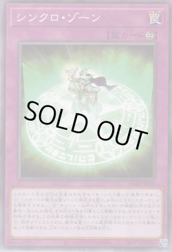 画像1: シンクロ・ゾーン