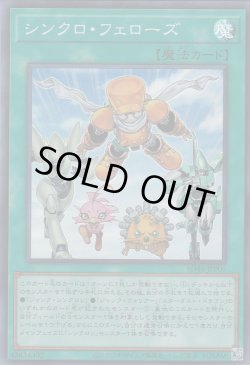 画像1: シンクロ・フェローズ