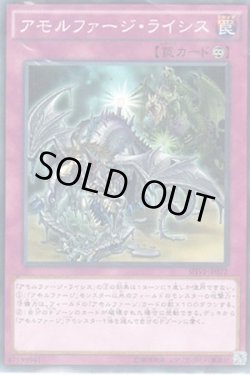 画像1: アモルファージ・ライシス
