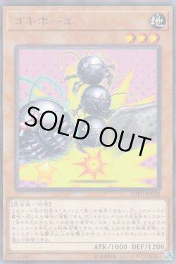 画像1: ゴキポール